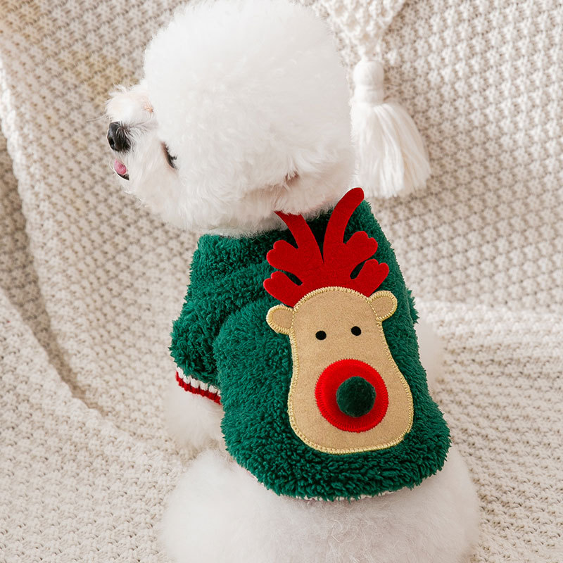 Festive Puppy Fashion