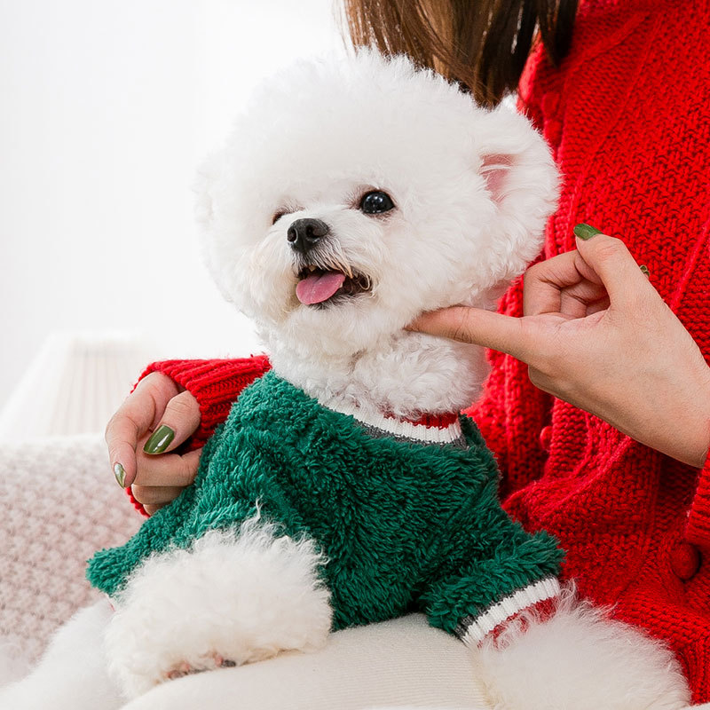 Puppy in Red Outfit