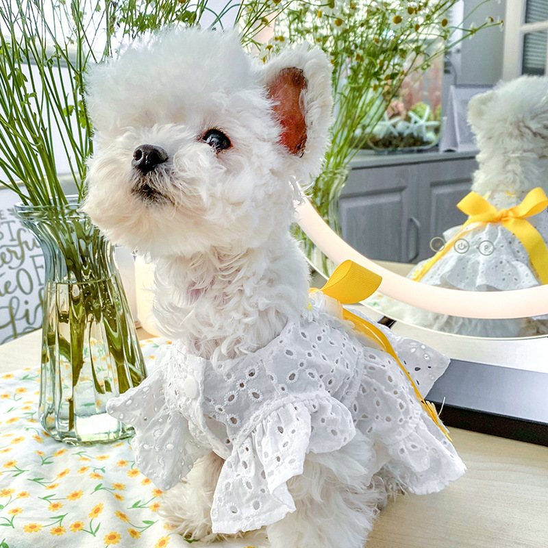 Daisy Flower Skirt