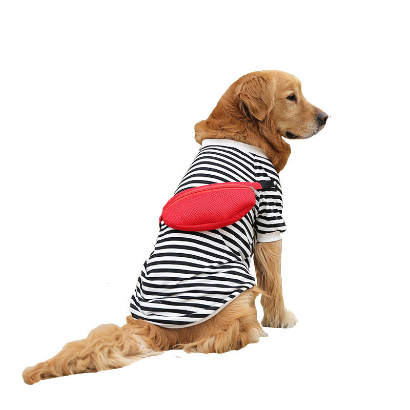 Dog in vest