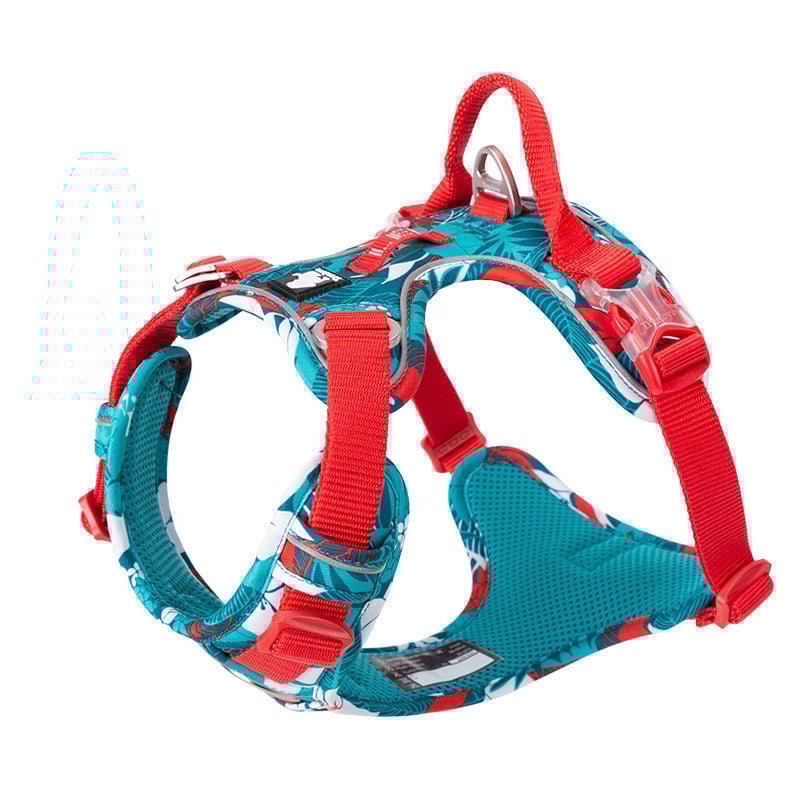 Adjustable Dog Harness