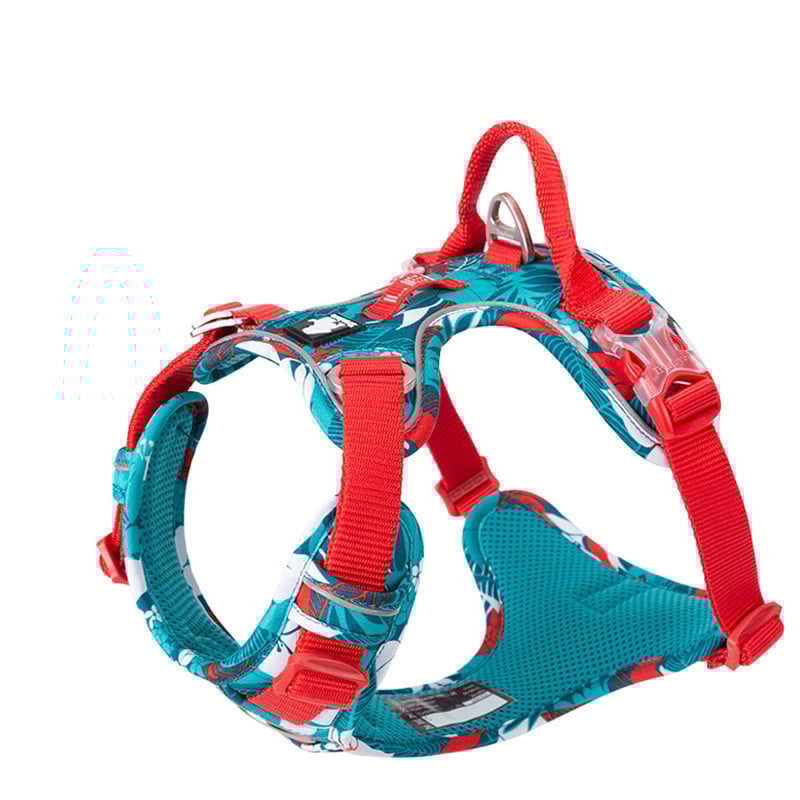 Large Dog Harness