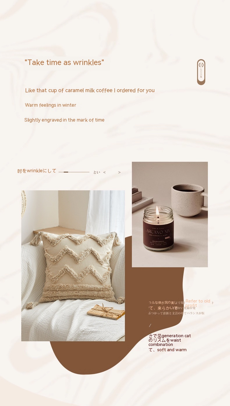 Plush Tassels Pillowcase 2