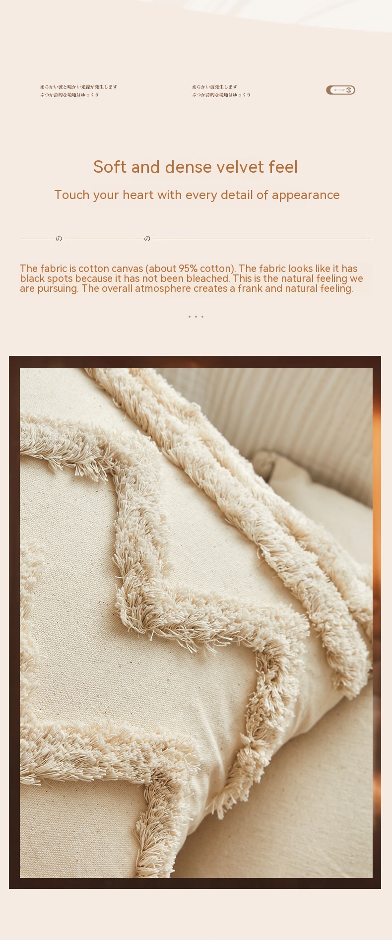 Plush Tassels Pillowcase 3