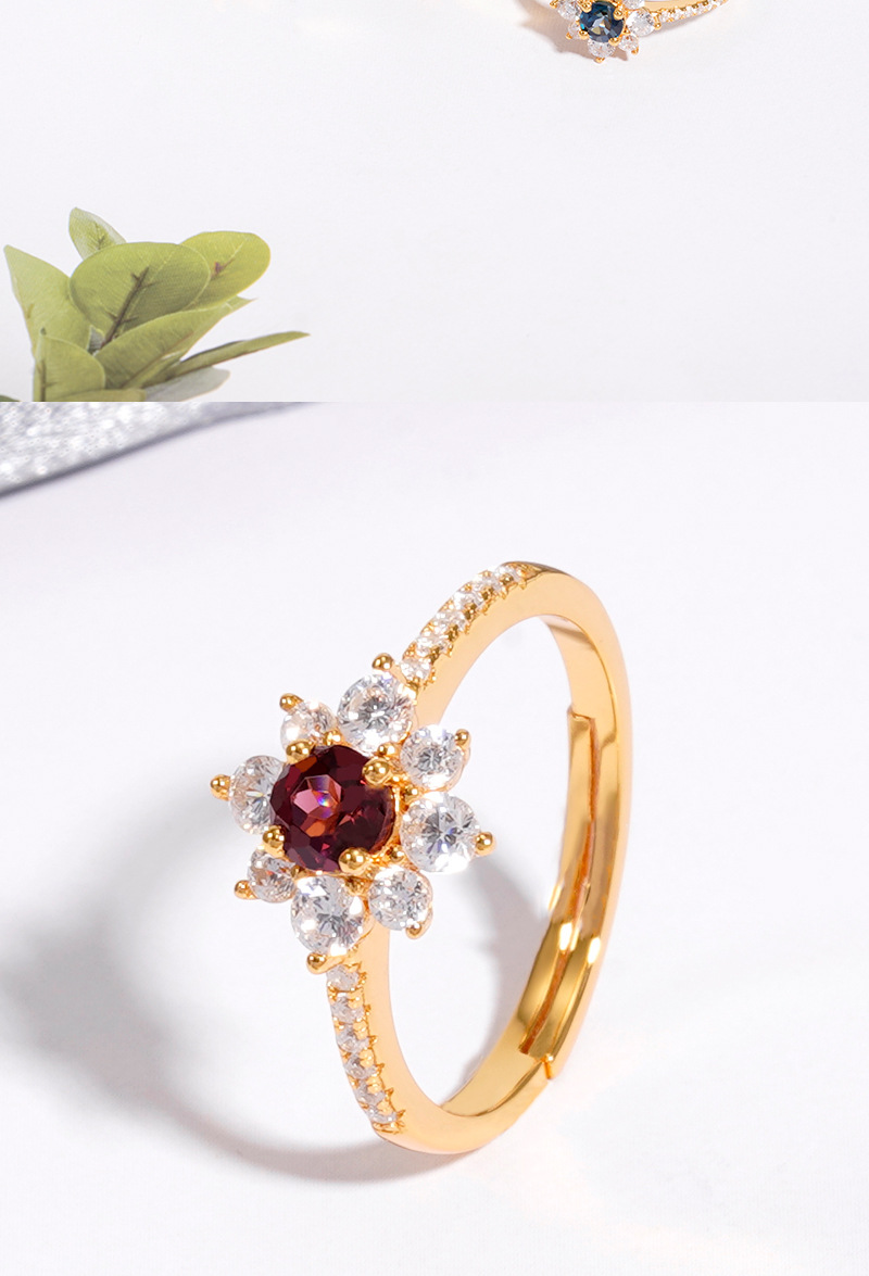 Garnet Ring 3