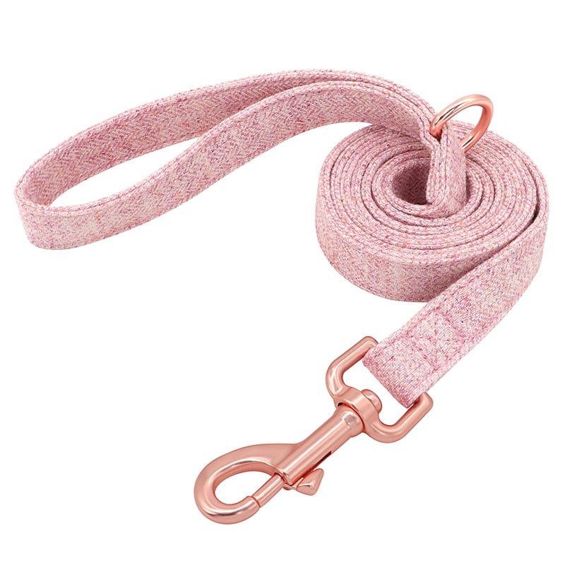 Pet Dog Collar 2