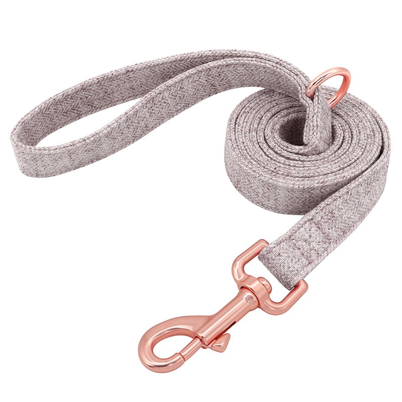Pet Dog Collar 3