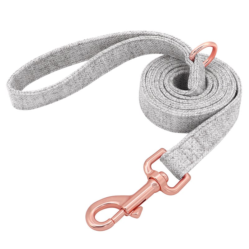 Pet Dog Collar 4