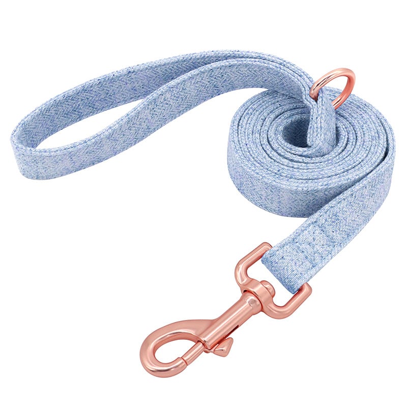 Pet Dog Collar 5