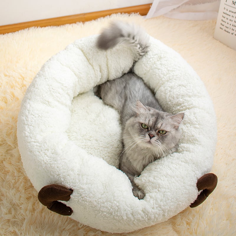 Lamb Wool Cat Litter Image 4