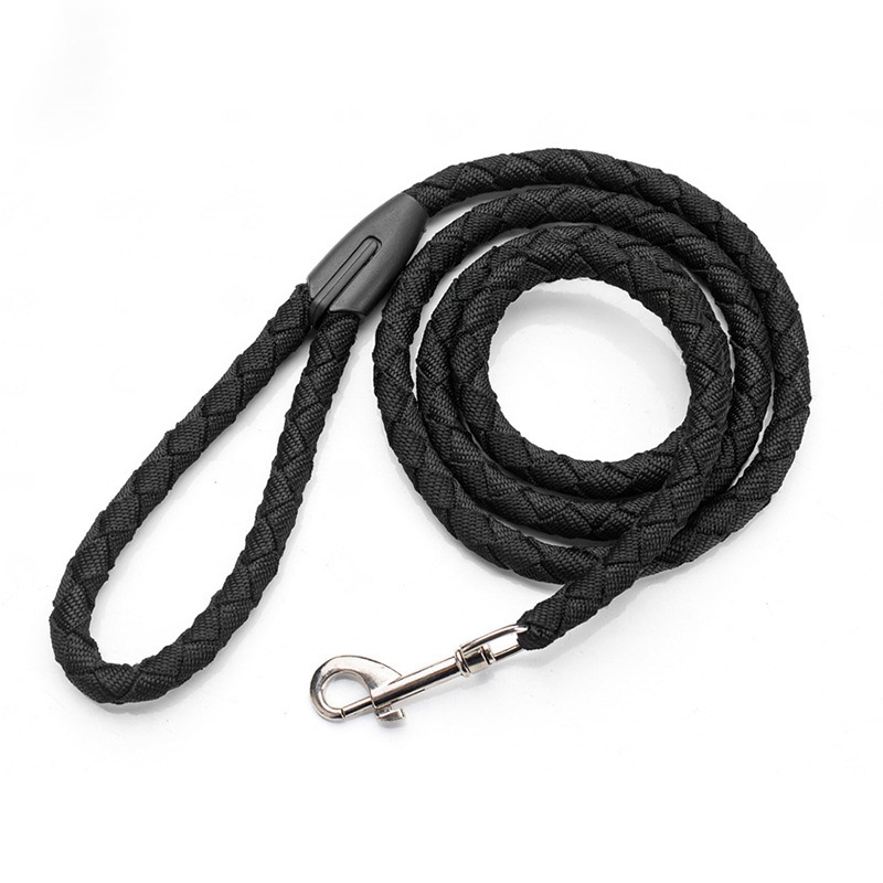 Nylon Braided Dog Leash - Green