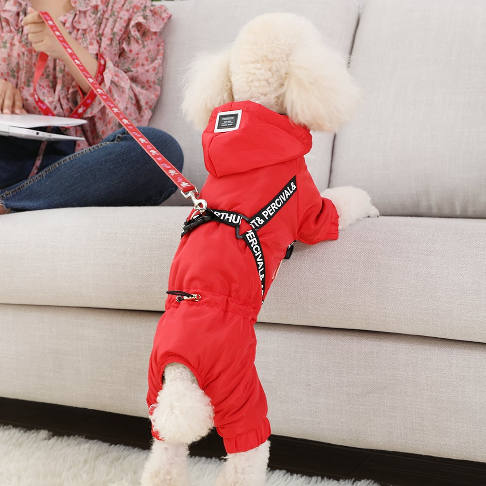 Small Dog Bichon Winter Clothes - Image 3