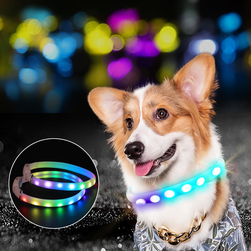 Rechargeable collar leash