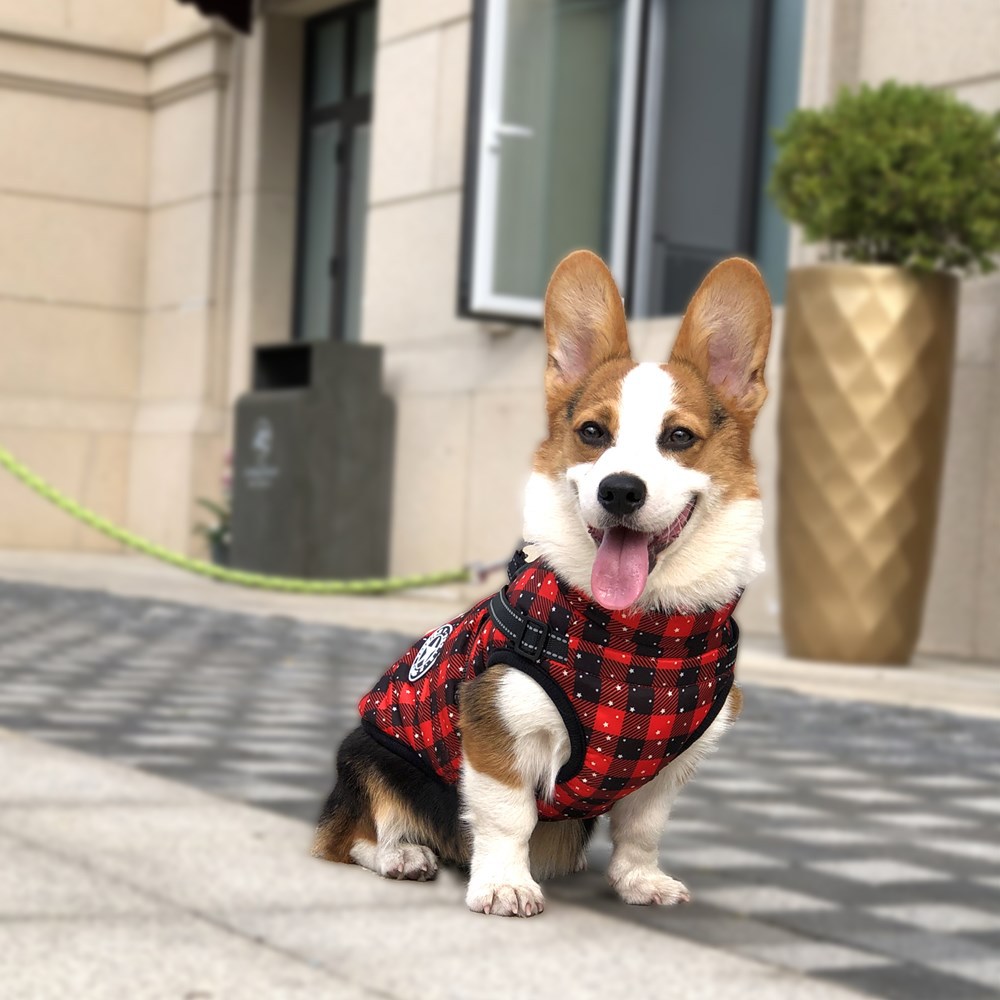 Christmas Dog Coat - Color Option 1