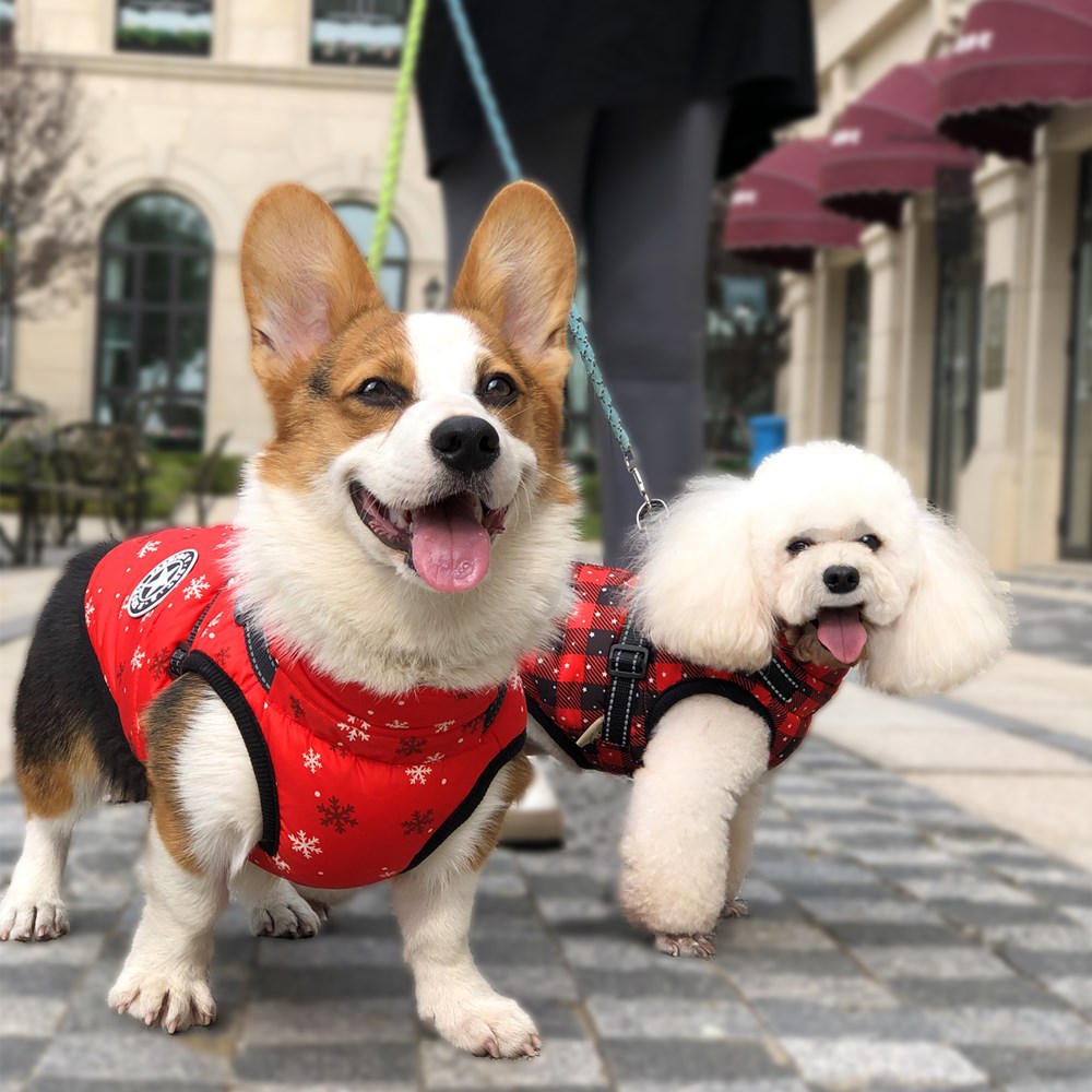 Christmas Dog Coat - Color Option 4