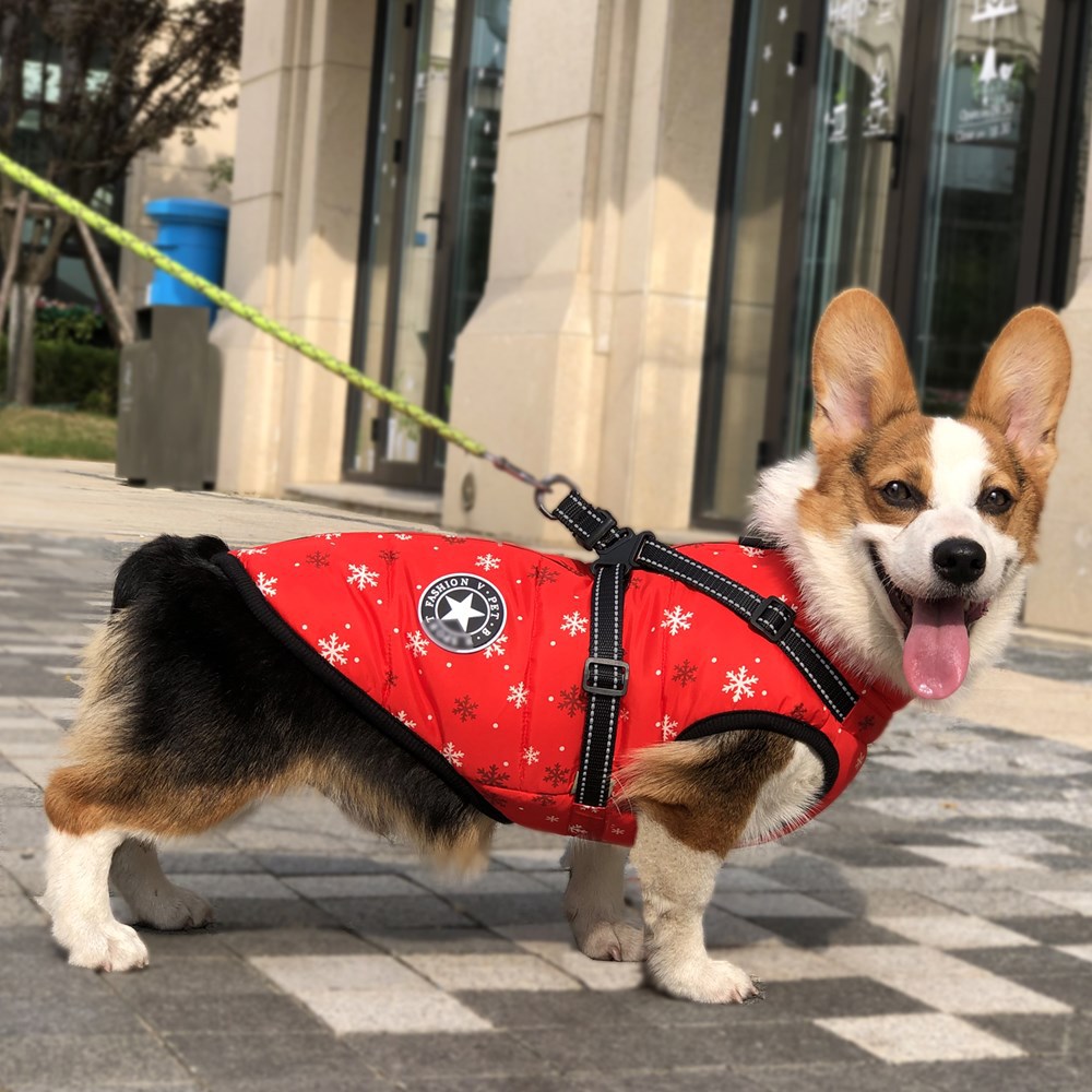 Christmas Dog Coat - Color Option 5
