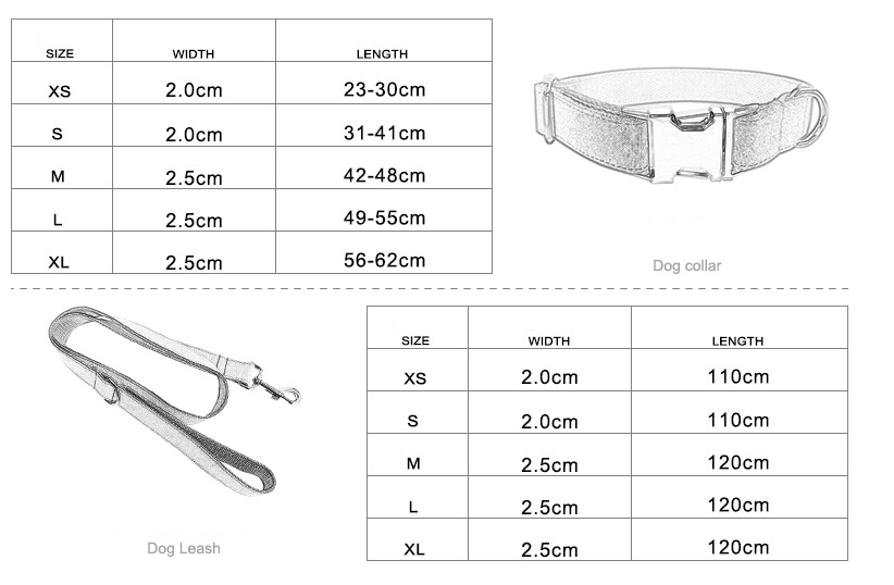 Traction Collar Image 1