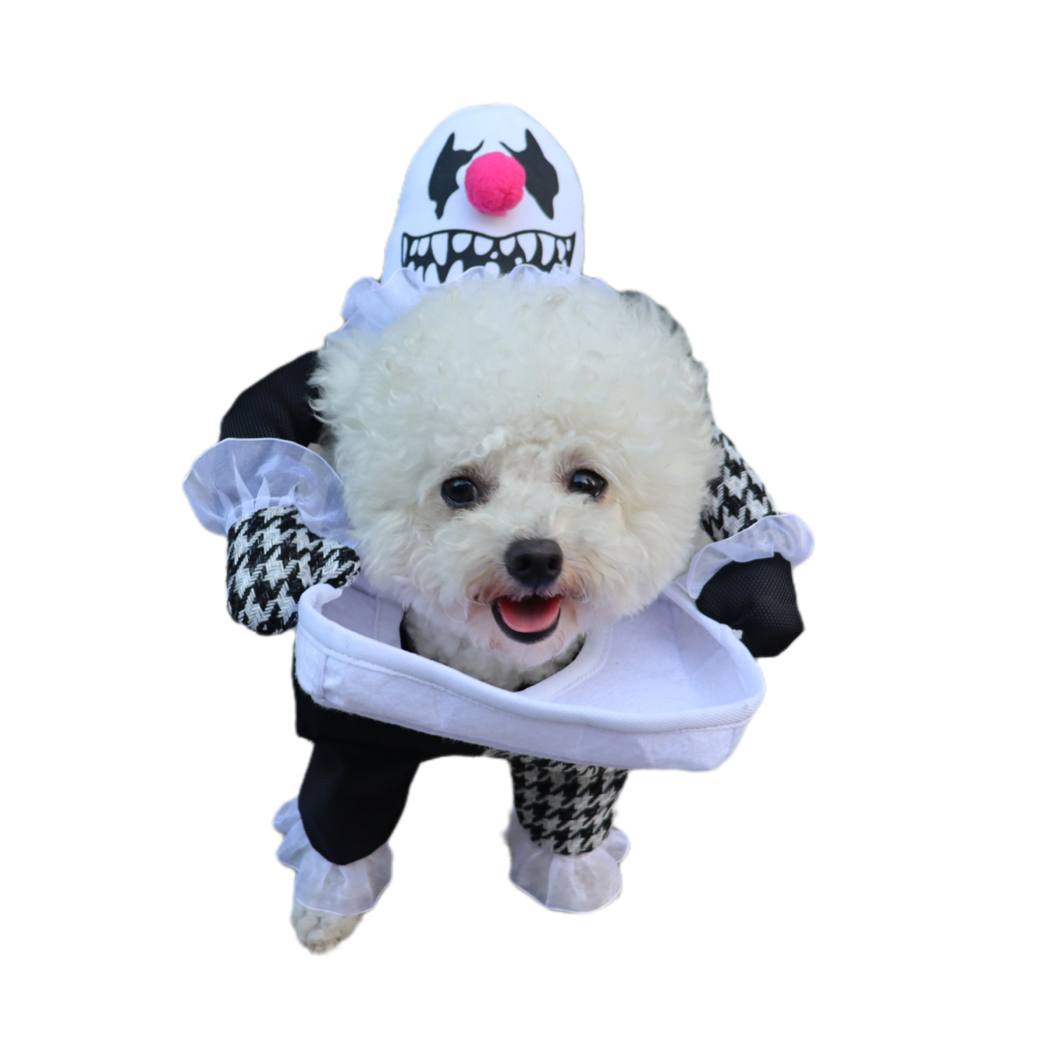 Pet Halloween Costume Demon Transformation
