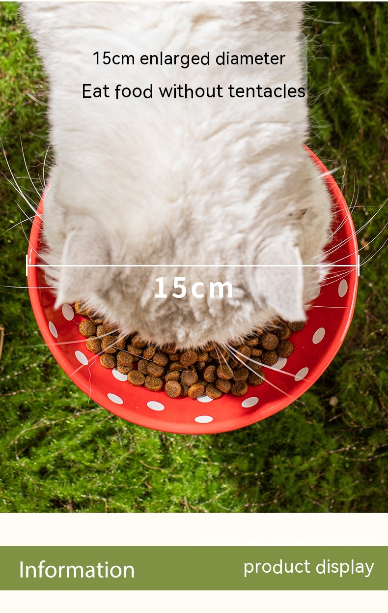 Cat Bowl Image 2