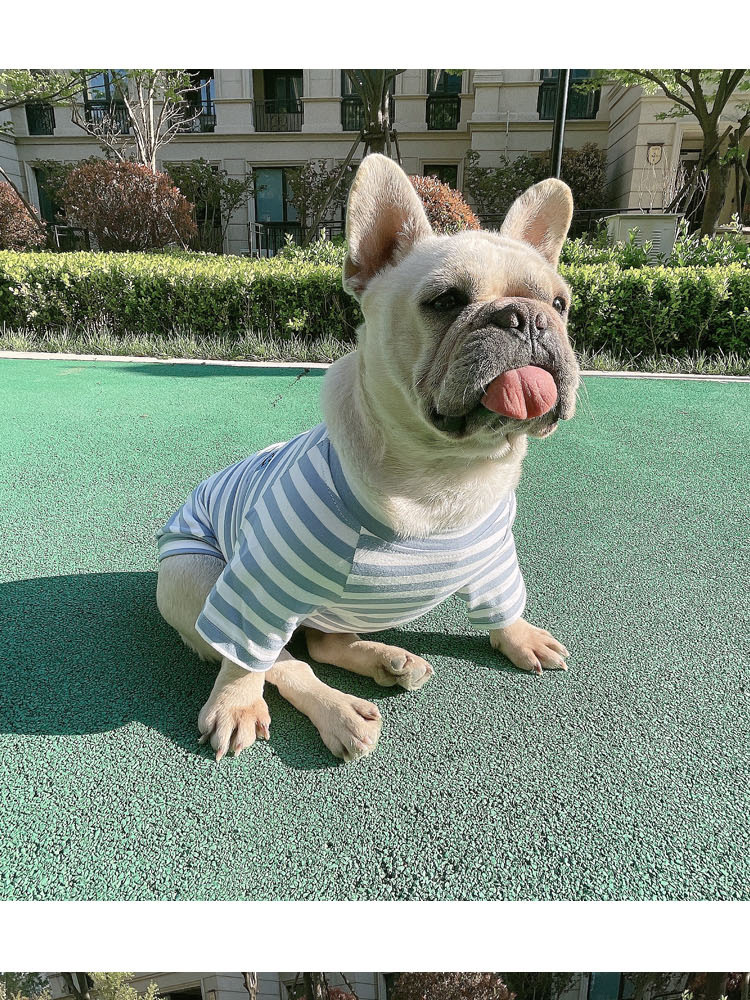 Striped Modal Cotton T-shirt