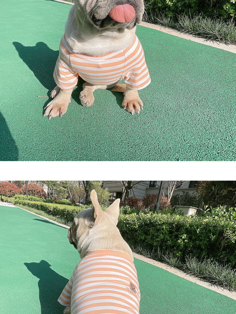 Striped Modal Cotton T-shirt