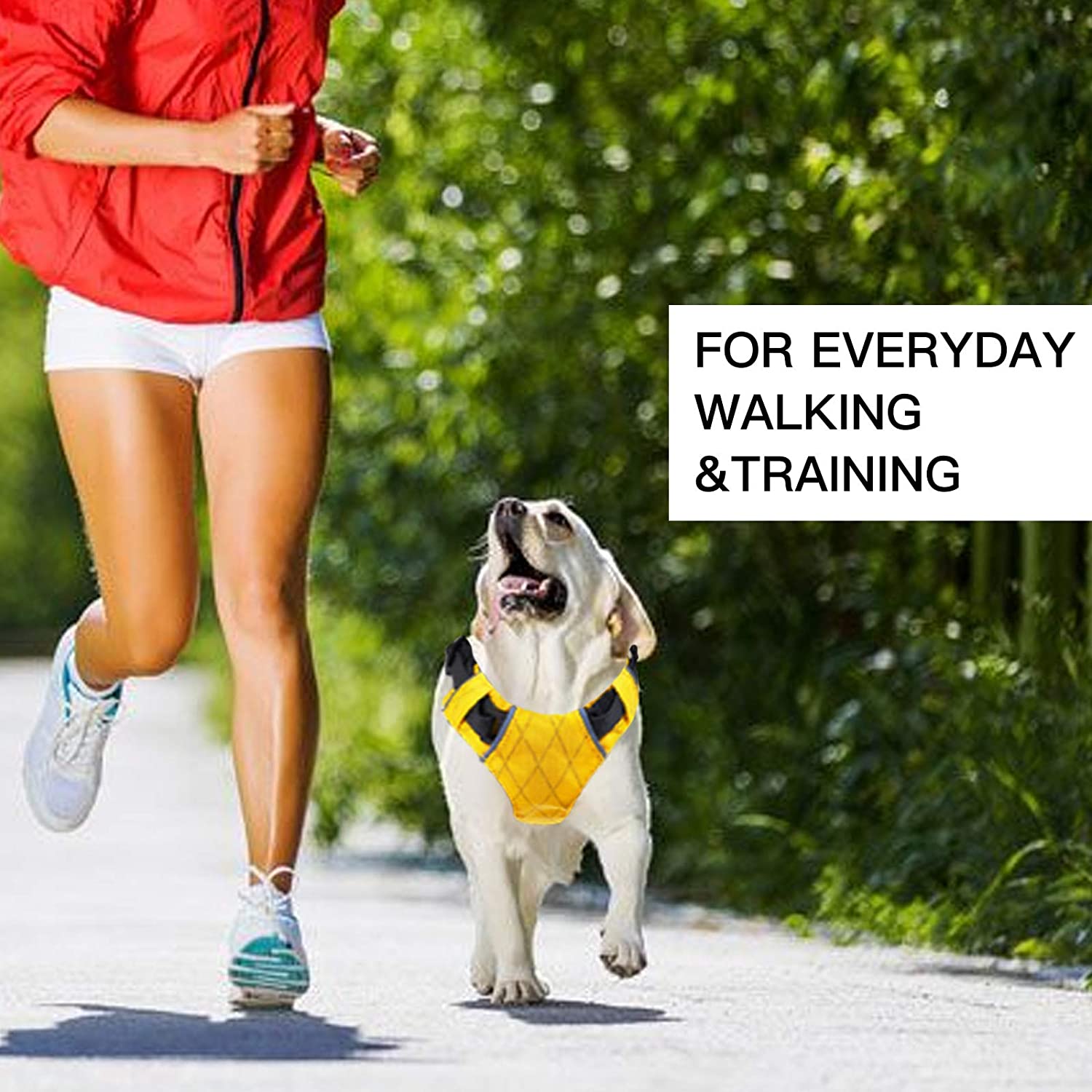 Comfortable Dog Harness