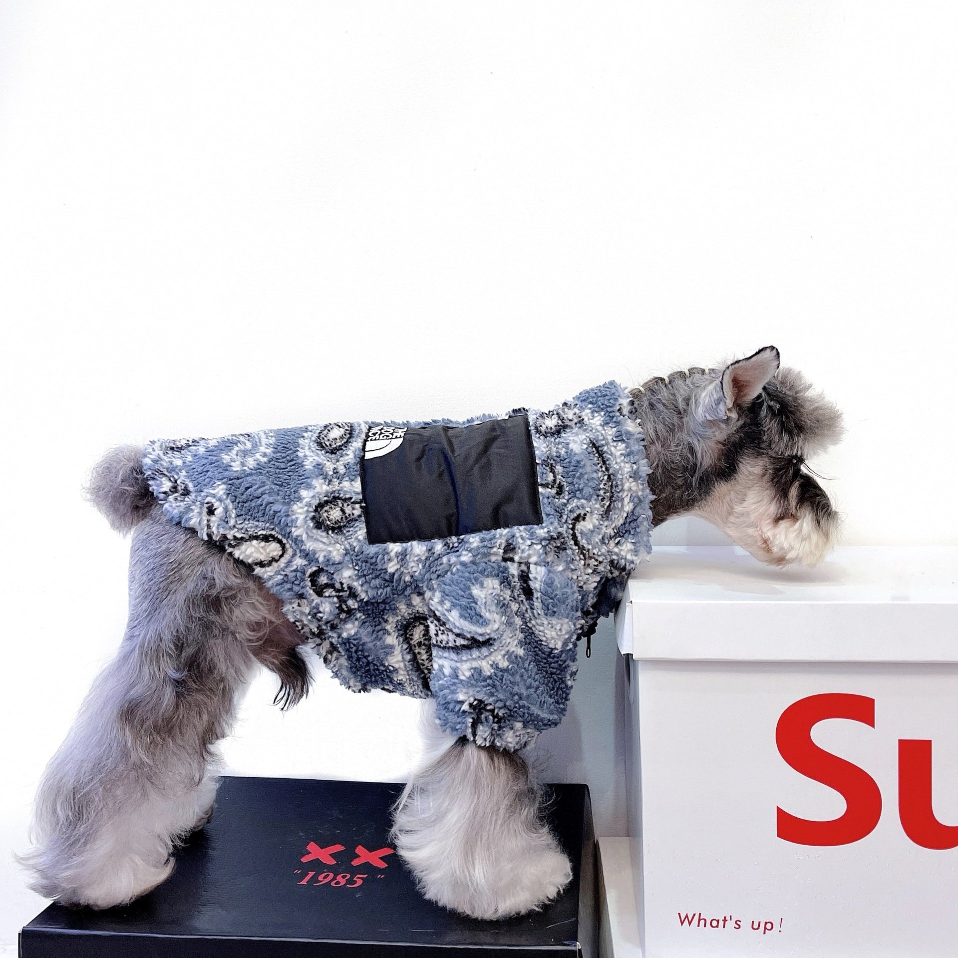Warm Velvet Clothes for Cats and Small Dogs