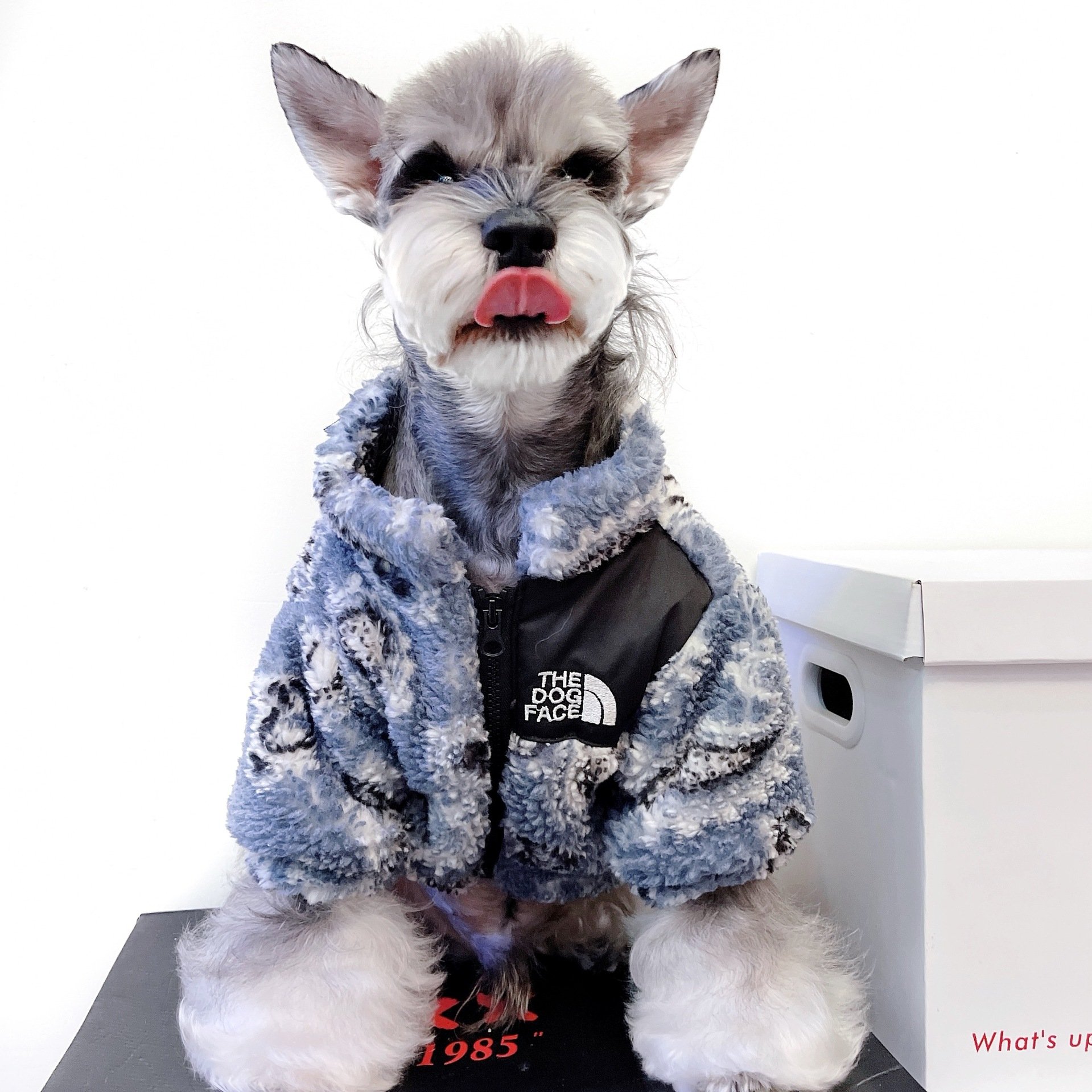 Warm Velvet Clothes for Cats and Small Dogs