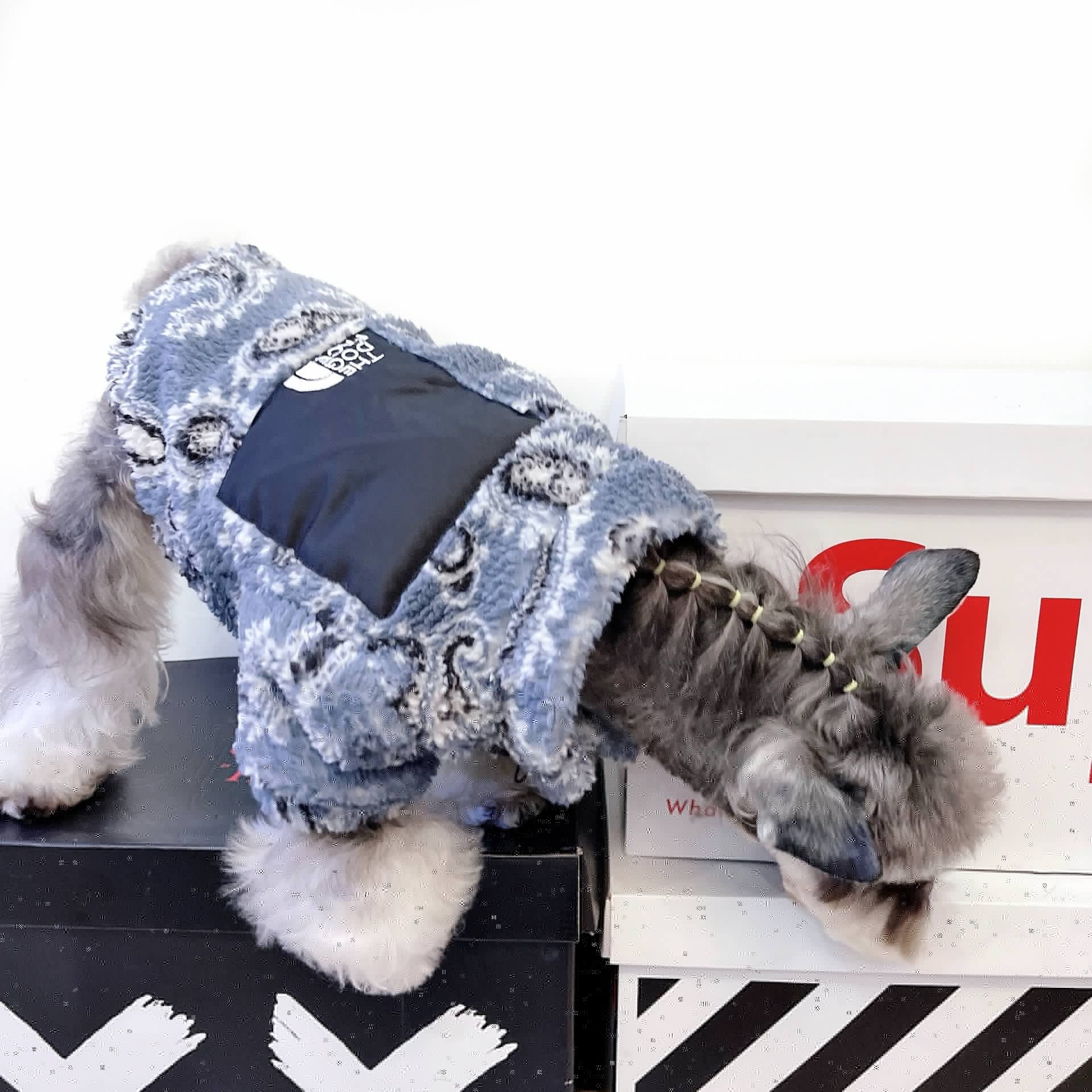 Warm Velvet Clothes for Cats and Small Dogs