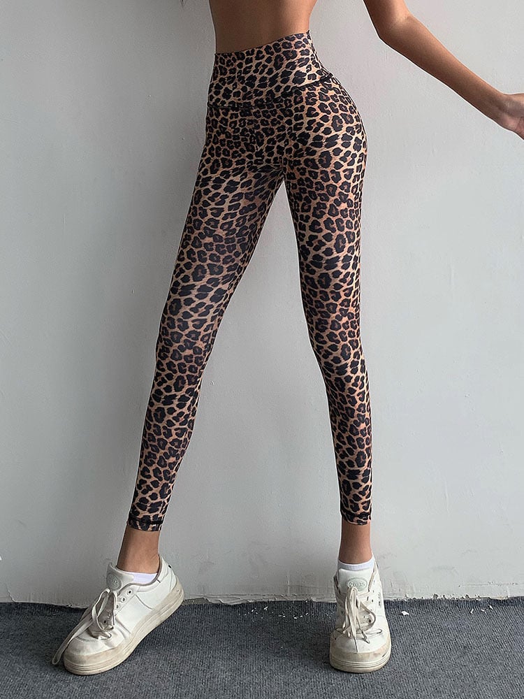 Choc Girl Fitness Pants Collection