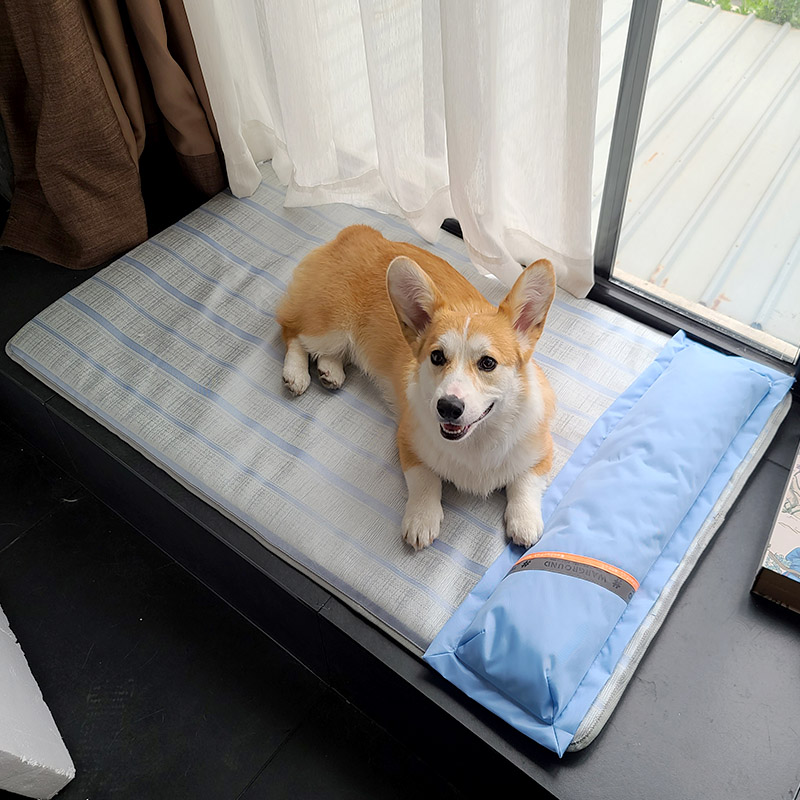 Dog Mat Comfort