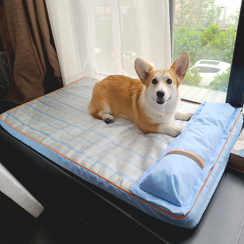 Dog Mat Variations