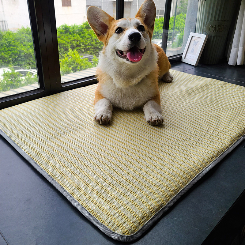 Dog Mat for Cats
