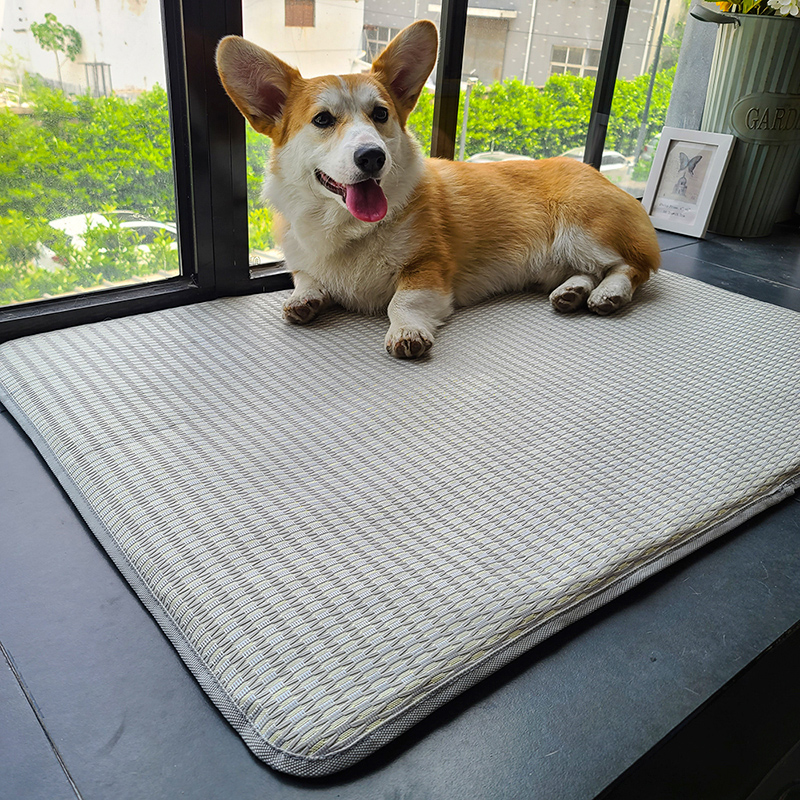 Dog Mat Style
