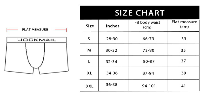 Men's Double Thong Mesh Panties