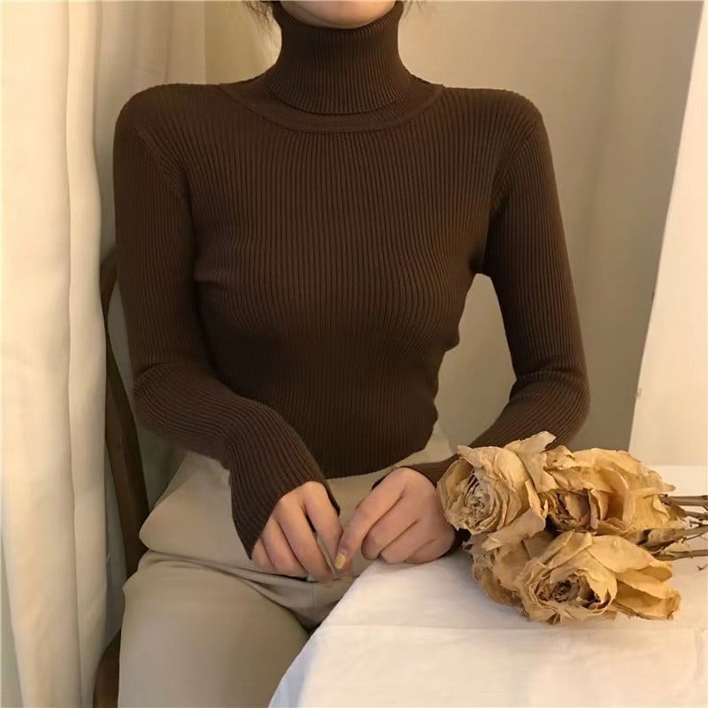 Half High Collar Sweater 21