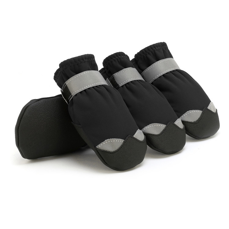 Pet Shoes Close-up