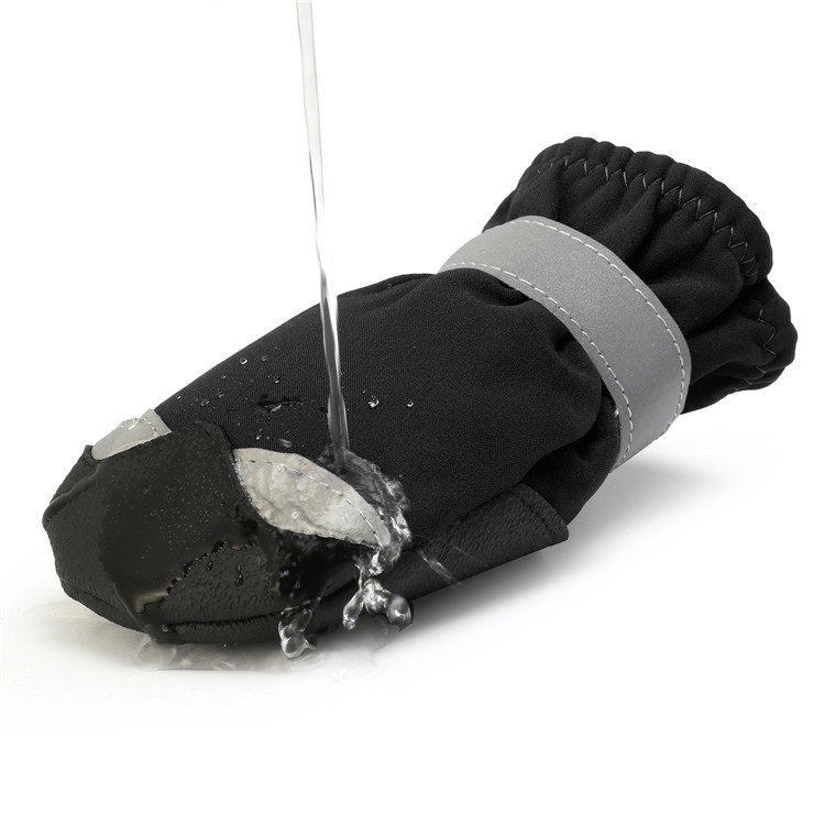 Pet Shoes in Action