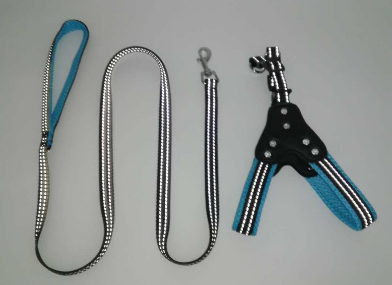 Pet Leash Red