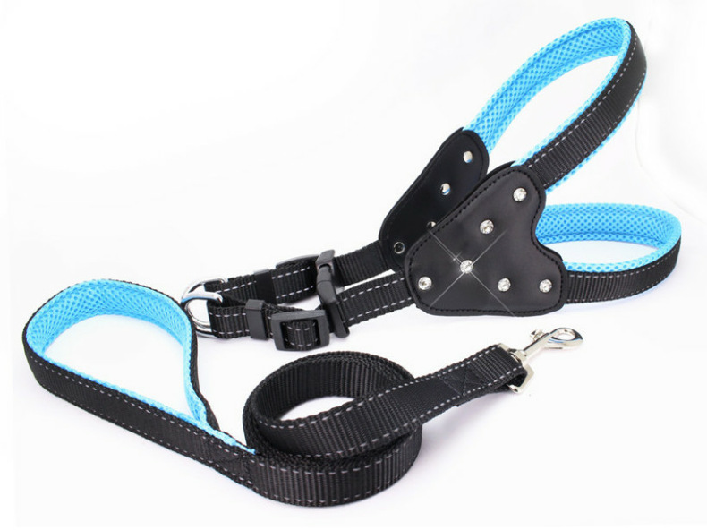 Pet Leash Pink