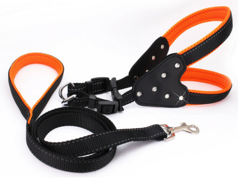 Pet Leash Blue