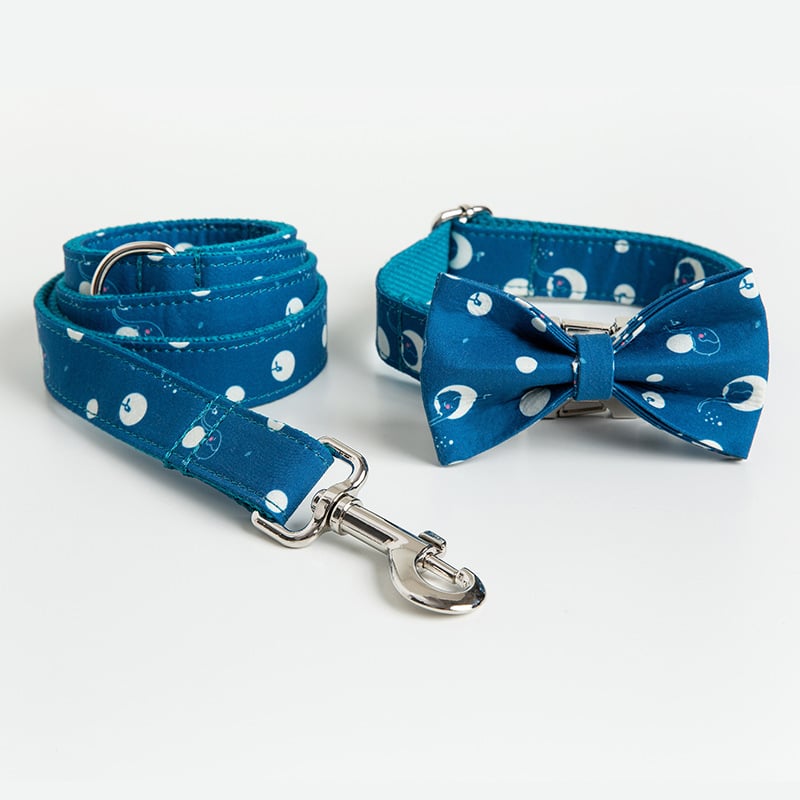 Stylish Dog Collar and Leash Set