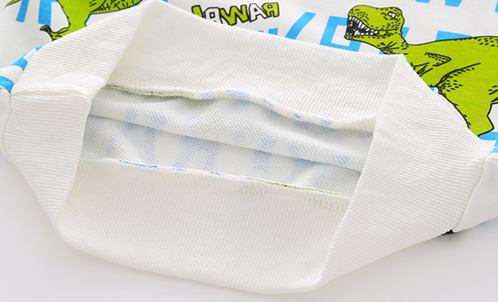 Dinosaur Print