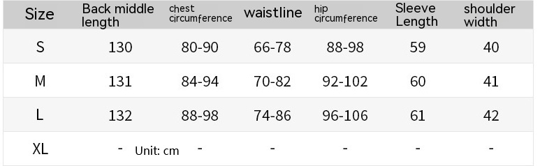 Female French Style Dress 1