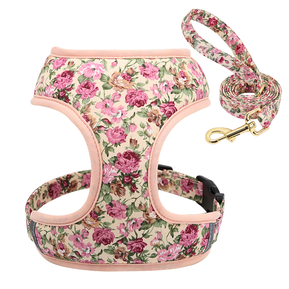 Dog Leash Variations