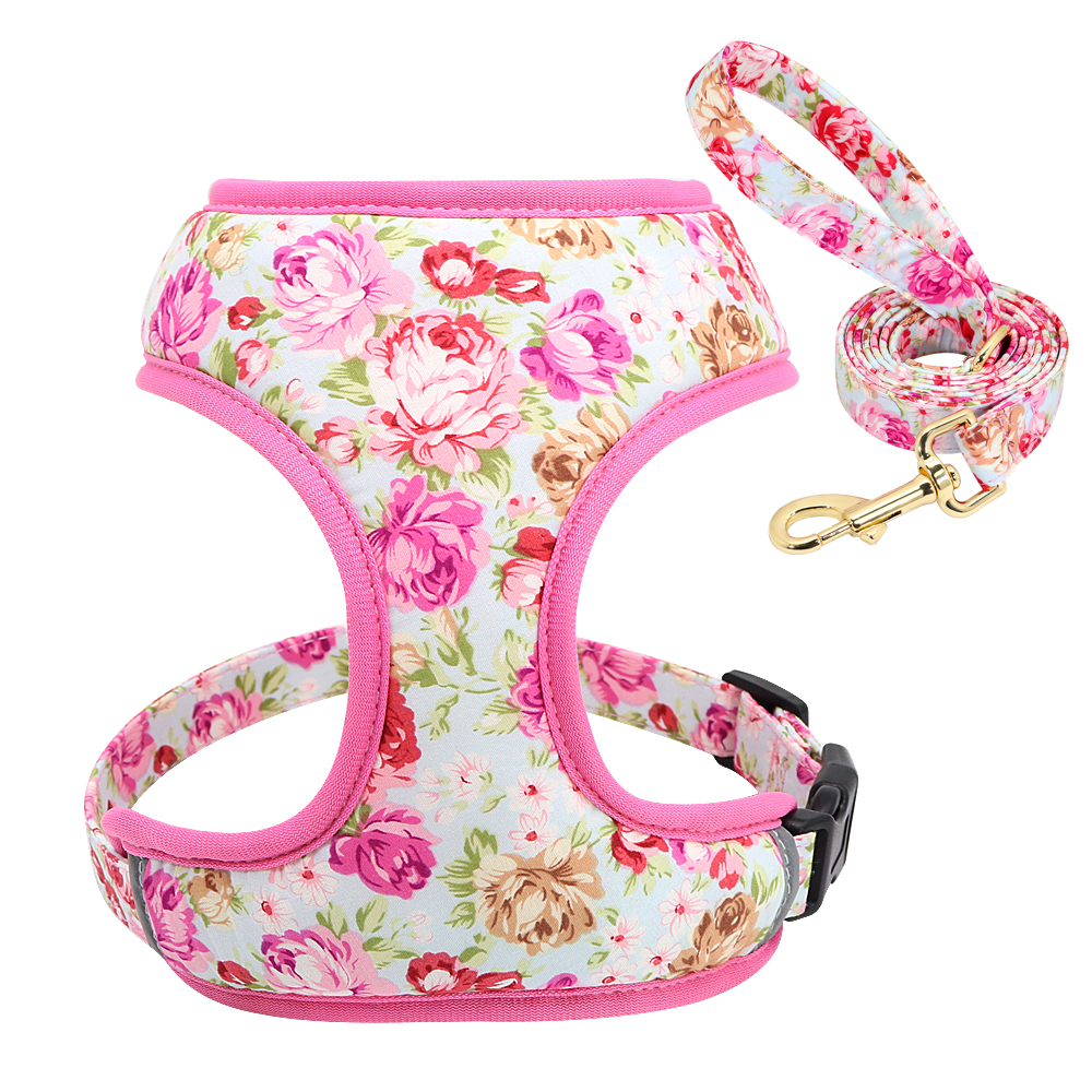 Dog Leash Variations