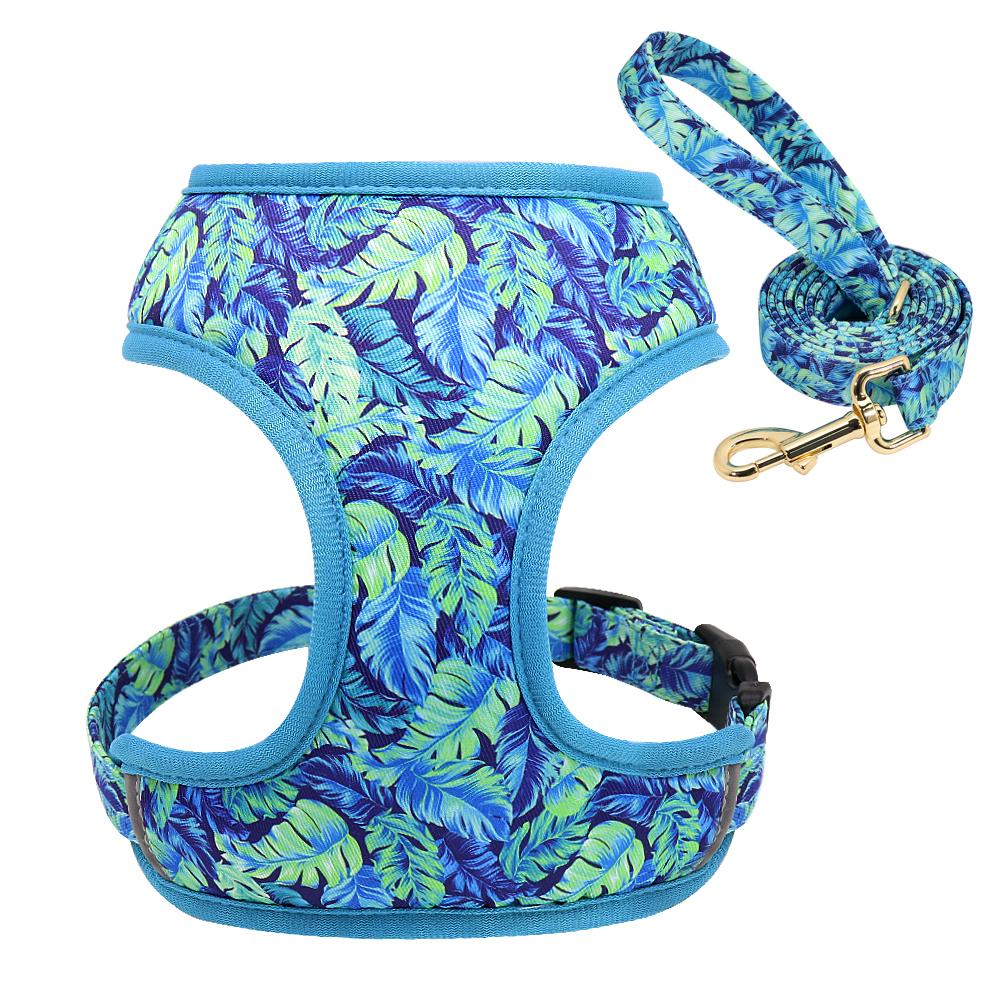 Dog Leash Variations