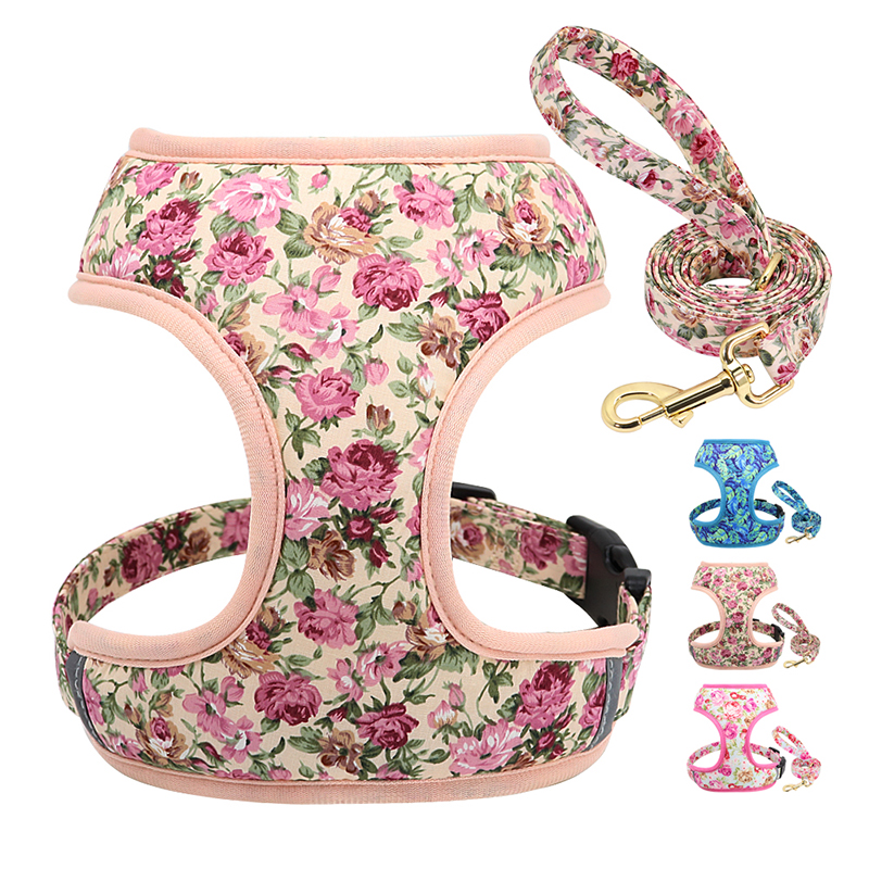 Dog Leash Variations