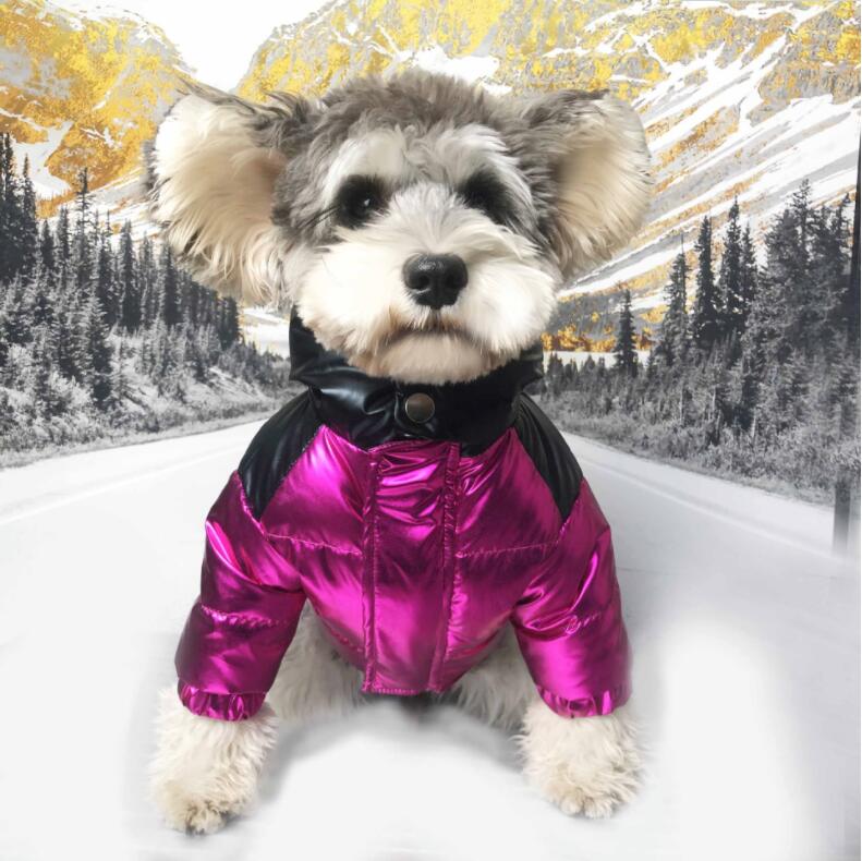 Pet Jacket Black