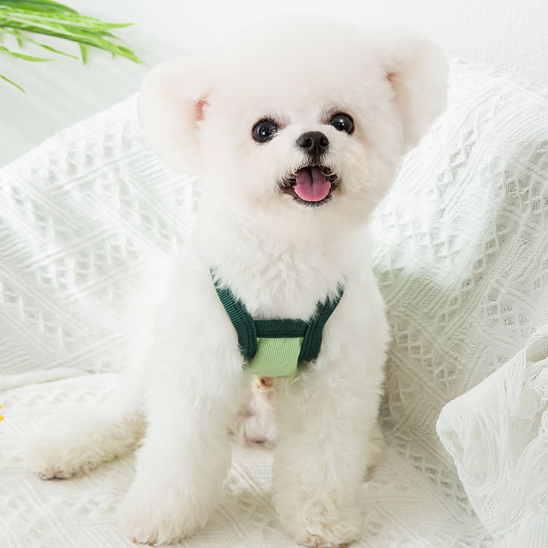 Avocado Sling Puppy Clothes 1
